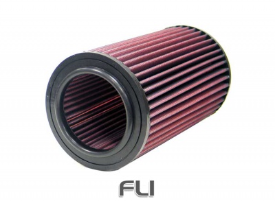 E-9251 Replacement Air Filter