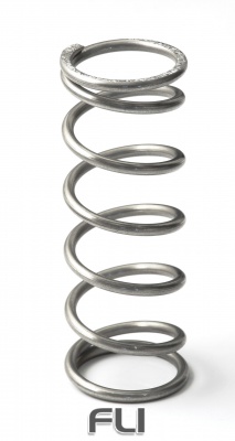 GFB-7113 EX50 13psi spring (outer)