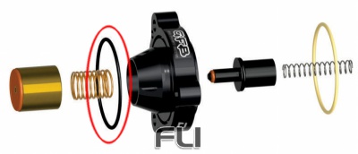 GFB DV+ O-ring drukzijde - BS030VITON