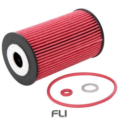 HP-7029 Oil Filter