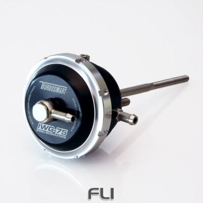 IWG75 Twin Port Universal 14 PSI TS-0681-6142