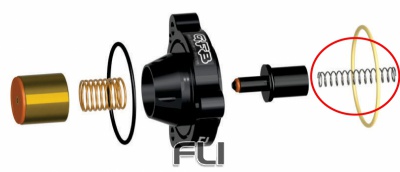 replacement plunger spring DV+