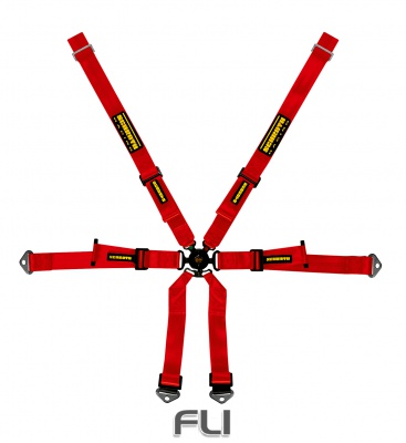 Schroth Racing Racegordel 6-punts Rood Porsche 991