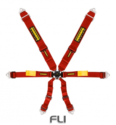 Schroth Racing Racegordel Enduro 6-punts Rood