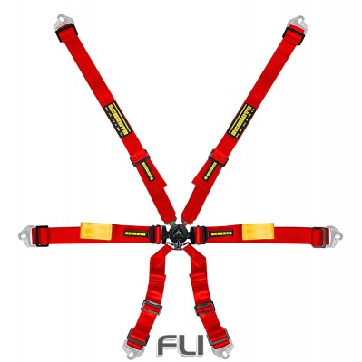 Schroth Racing Racegordel Enduro 6-punts Rood