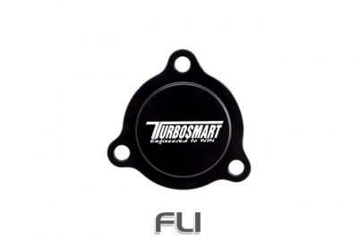TS-0203-1104 Clio RS BOV Blanking Plate