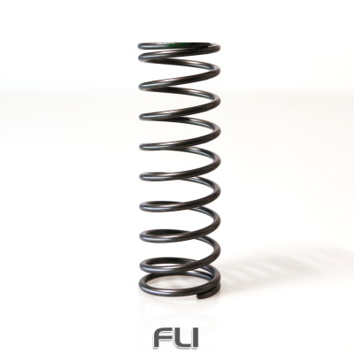 WG38/40/45 HP 25 PSI Outer Spring TS-0505-2013